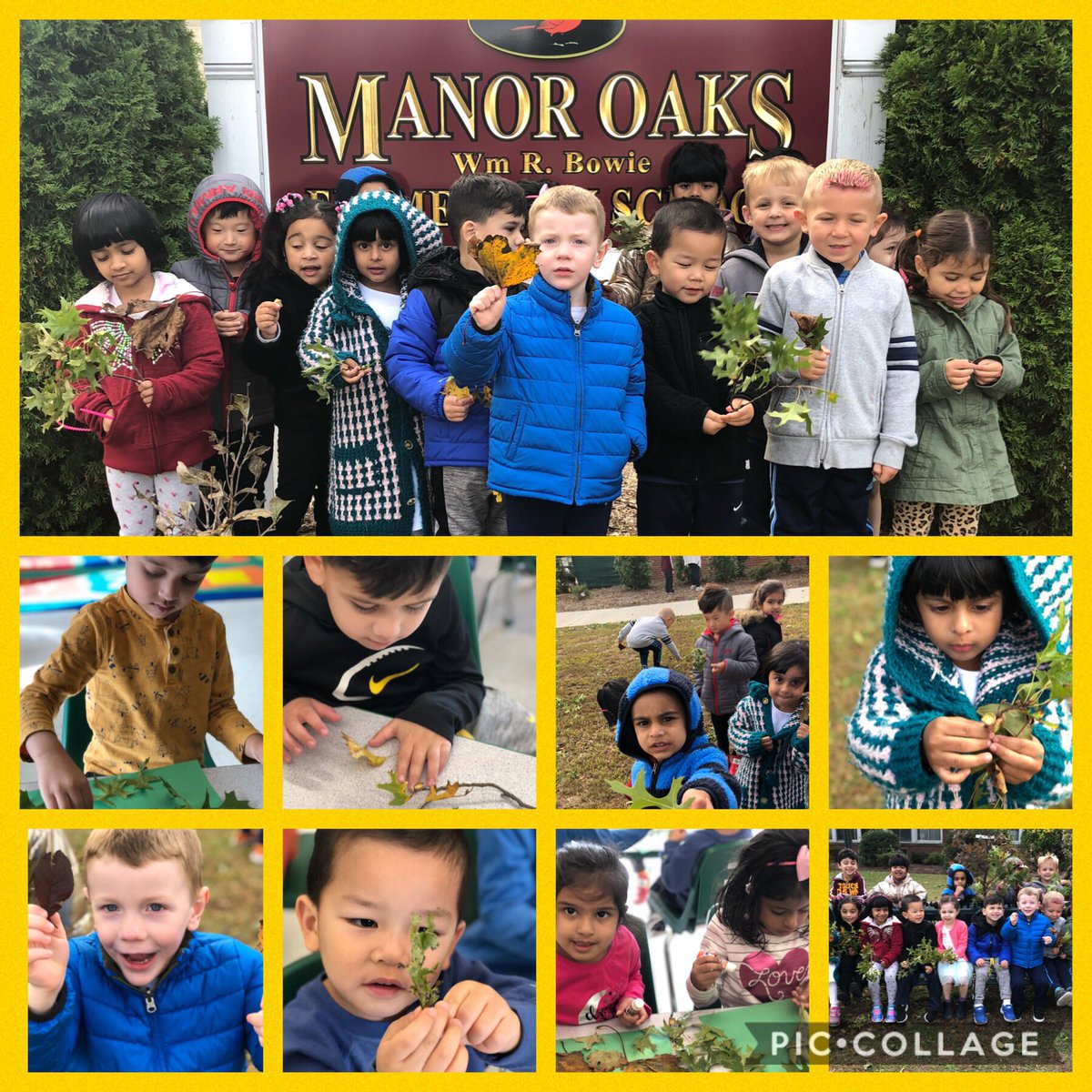 MKocoris's tweet photo. We’re going on a leaf hunt.#prek 🍁🍁🌿🍁🍁 @ManorOaksNHPGCP https://t.co/6h9bUPvZnY