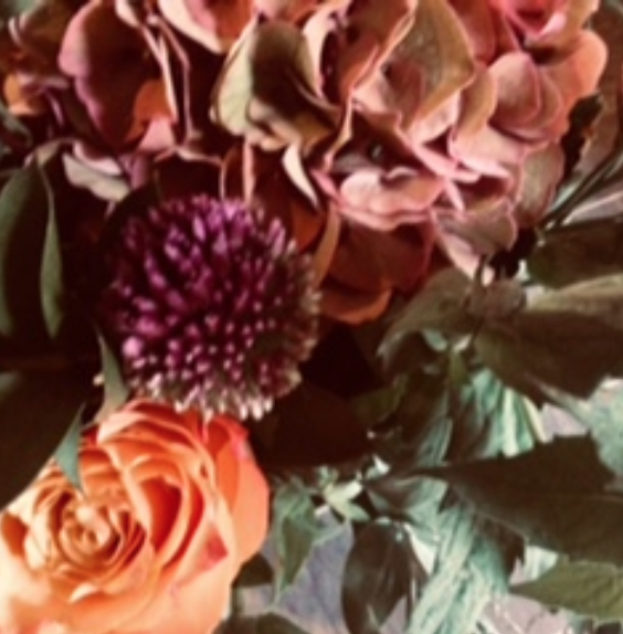 GardenroomGS's tweet photo. Some beautiful Autumnal blooms and foliages in currently c/o our lovely supplier @southeastflower... https://t.co/n9Yh1J7e0c https://t.co/wNWehdbt65