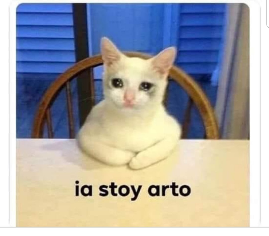 Resultado de imagen para gato iastoy arto