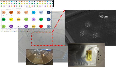cobiophad's tweet photo. Compact biophotonic platform for drug allergy diagnosis
COBIOPHAD project results
@cobiophad   @H2020  @Photonics21  
#allergy #IVD #antibiotic
https://t.co/BZCzhTvrvl https://t.co/tzVye63h8L