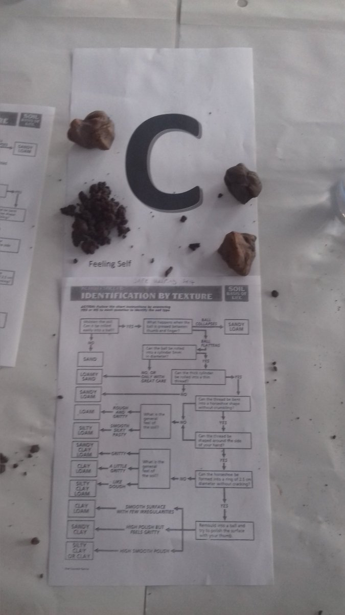 RHC_TLC's tweet image. Our CET students have been exploring learning preferences through a series of demonstrations this morning. Fantastic work all round. @Reaseheath @UCReaseheath #learningpreferences