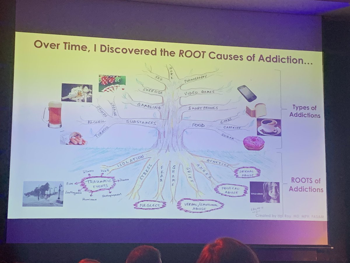 sophikovasadze's tweet photo. Roots of Addiction #pos2019 @lipiroy https://t.co/jFNxYawTDi