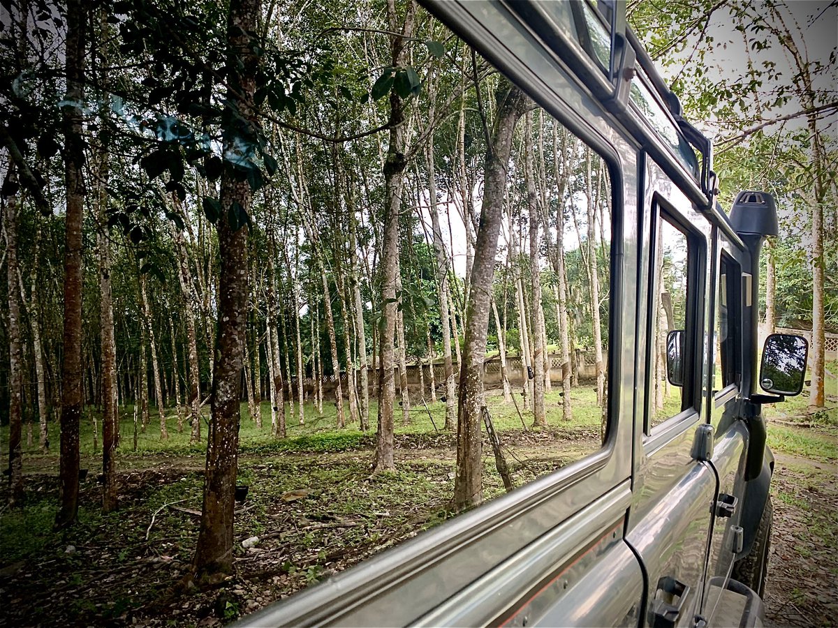 ForDefender's tweet image. My first tweet on my Landy.