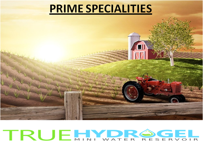 THydrogel's tweet photo. You can get the #water_retaining_gel product at the best prices by ordering online at your home from #PrimeSpecialities.
Our online address:- https://t.co/QCysMgVv1U.
#hydrogel
#hydrogel_in_agriculture
#hydrogel_agriculture
#hydrogel_for_agriculture https://t.co/fbdu0HZ8S0