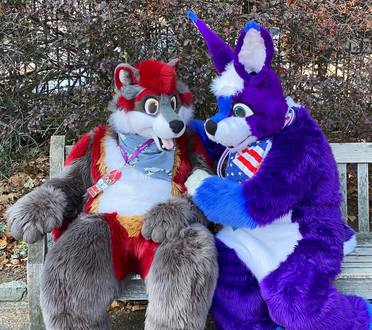 Not only is today #FursuitFriday but also it is one year ago today that I moved in with my bunny <a href="/TheadoreRabbit/">Theadore Rabbit Going To Cfz 2024 🐰</a>. 
It was one of the best decisions I ever made.
📸 @MaxwellKepler 
✂️ <a href="/MadeByMercury/">Made By Mercury</a> 
📣 <a href="/FursuitPursuits/">Fursuit Pursuits!</a> @CuteFursuits