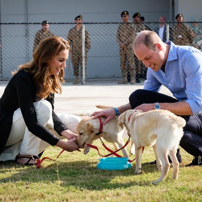 KingSiasi's tweet photo. #Duke and #Duchess of #Cambridge #Prince_William and #Princess_Kate_Middleton visit #Army_Canine_Centre in #Islamabad.
#RoyalVisitPakistan https://t.co/zqlEzx02KS