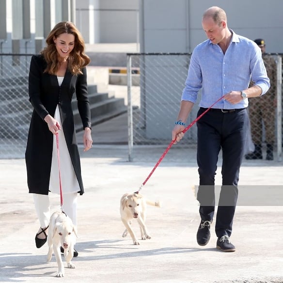 KingSiasi's tweet photo. #Duke and #Duchess of #Cambridge #Prince_William and #Princess_Kate_Middleton visit #Army_Canine_Centre in #Islamabad.
#RoyalVisitPakistan https://t.co/zqlEzx02KS