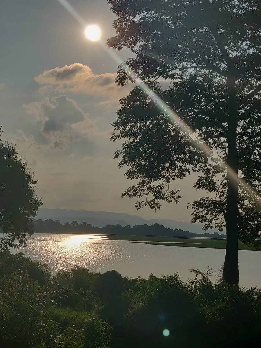 payalmehta100's tweet photo. Just the perfect way to bring an end to your day!
Reflections of life and beyond
#IncredibleIndia
✔️ Off one of my bucket list locations #Kaziranga
#ExploringMyCountry #AmazingAssam #RisingNorthEast https://t.co/2iq2xy80vO