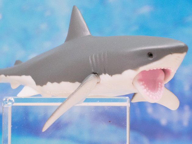 のぶの レビューしました タカラトミーアーツ食玩 神秘の世界 大海の生物 ホホジロザメ編 ふぃぎゅる T Co Gsy0twk9ja