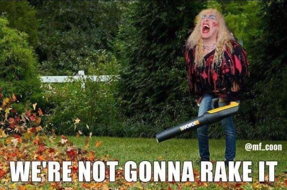 Q104Halifax's tweet photo. Anna: What are you doing this weekend ๐? #rakeleaves #Fall https://t.co/LpQUSaq5mk