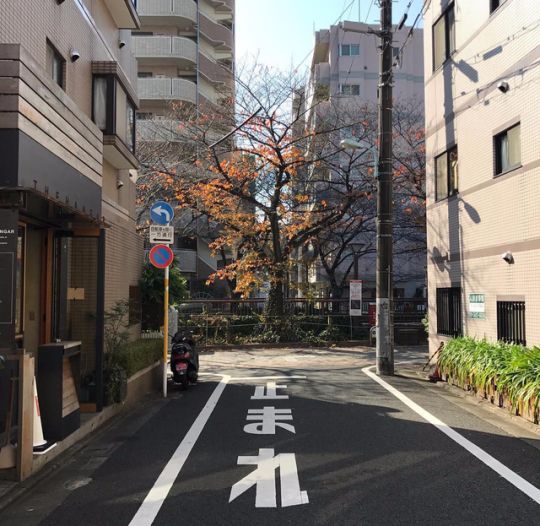 AestheticsJapan's tweet image. Japan Streets