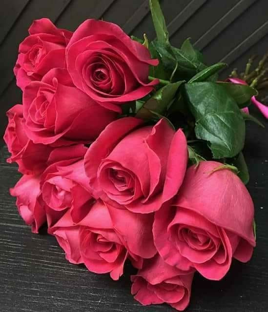 HamitKaraman9's tweet photo. @SammyStela #MUTLU #AKŞAMLAR #CANIM #TATLIM #SAMMY 🙏🙏🙏🙏😍😘💐😊🥰🌹❤😴 https://t.co/MVTWqjXuea
