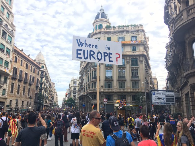 Voir l'image sur Twitter