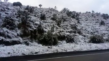 Ver imagen en Twitter