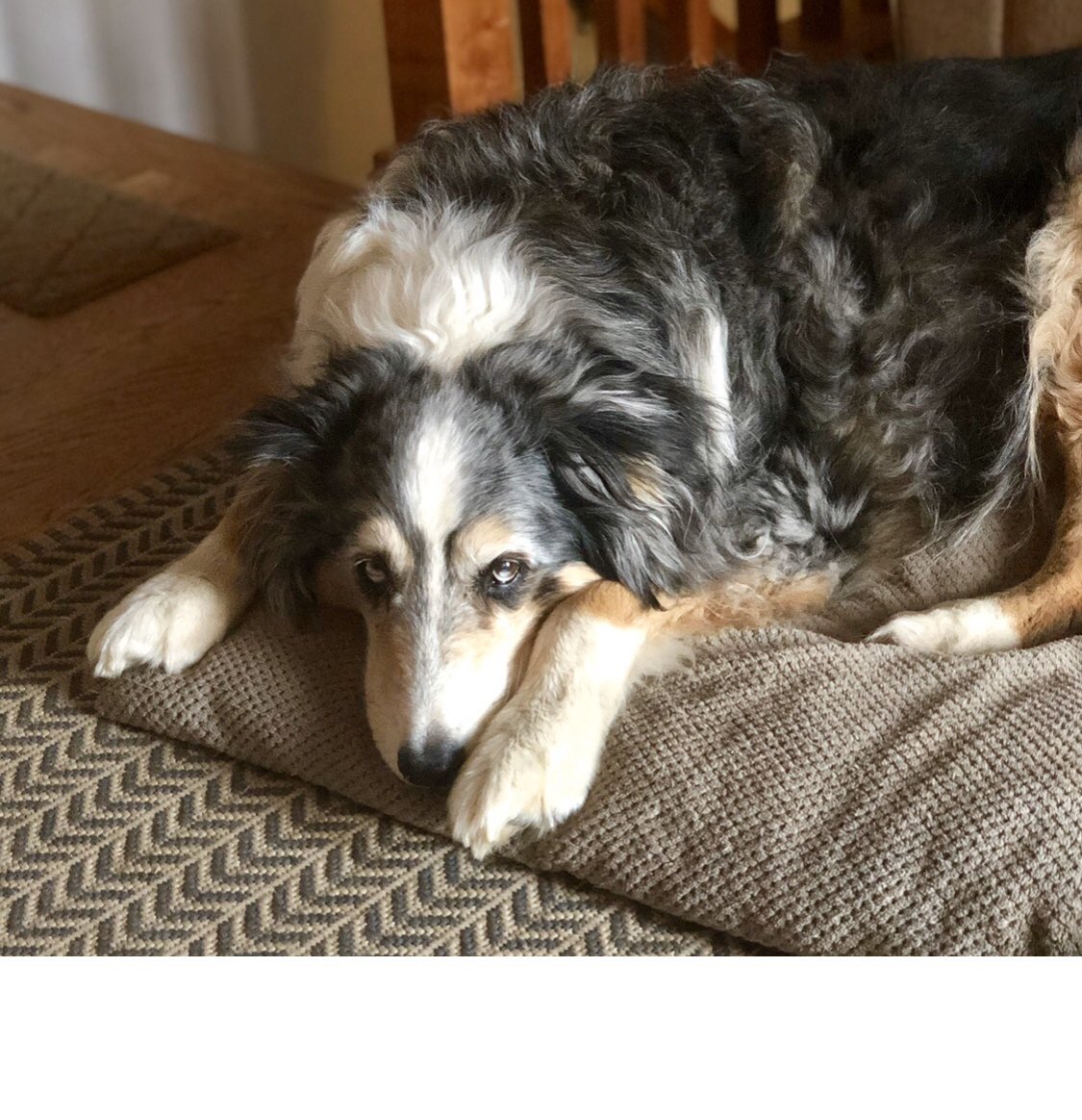 Overheard at Phish tweet media