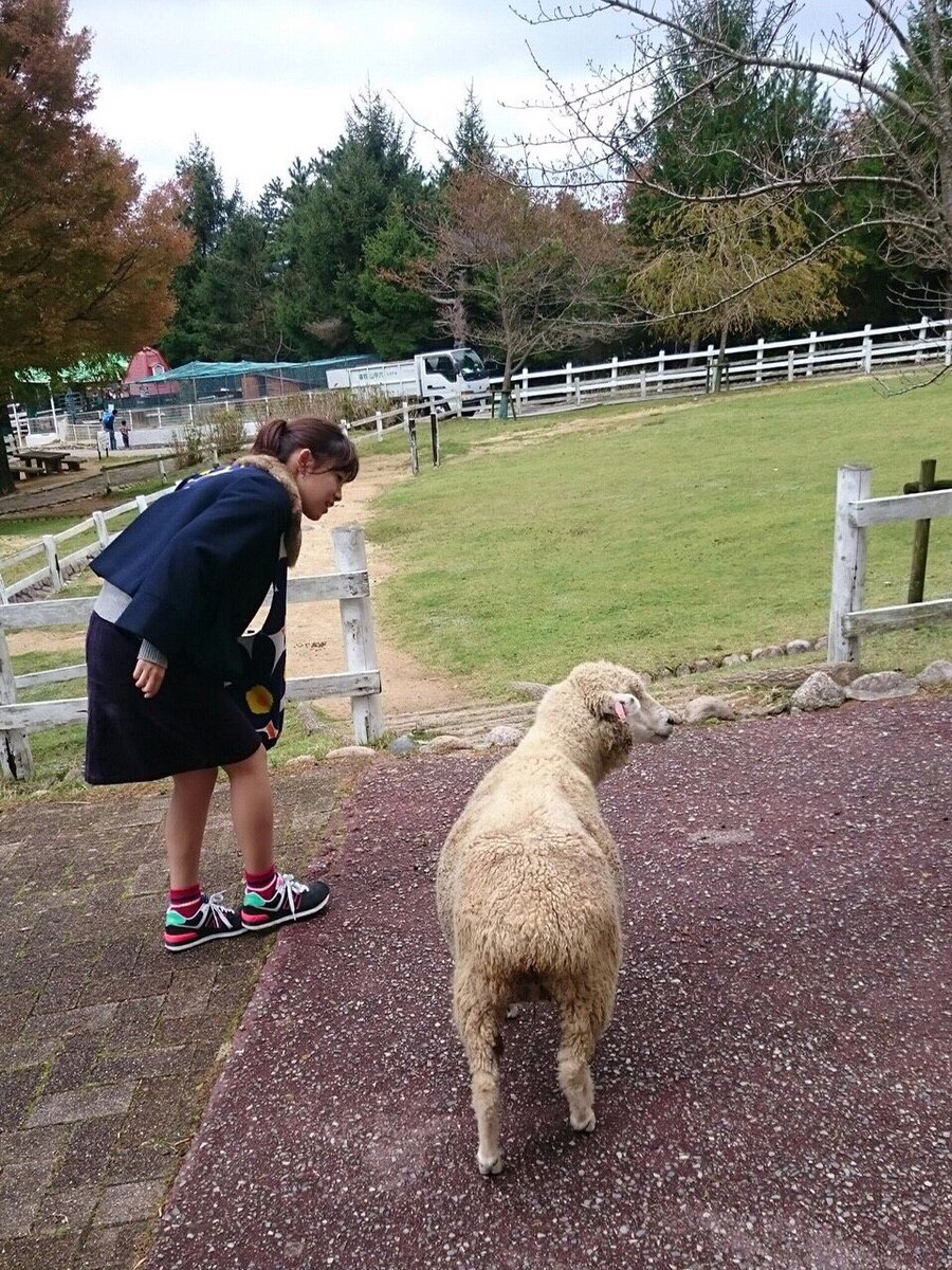 meribi_inspi's tweet photo. ⑥たまちゃん

メリビのアザラシ。かわいい。
自然な可愛さとリケジョ建築士のギャップで同期からの人気は根強く、ファンも少なくない。
ロックバスターがCやFの授業が
だいたいSなため一番インスピで賢いとされている。
好きなコロッケは蟹クリームコロッケ。好きな川は多摩川。(文責:ロックバスター) https://t.co/yV598AUCcX