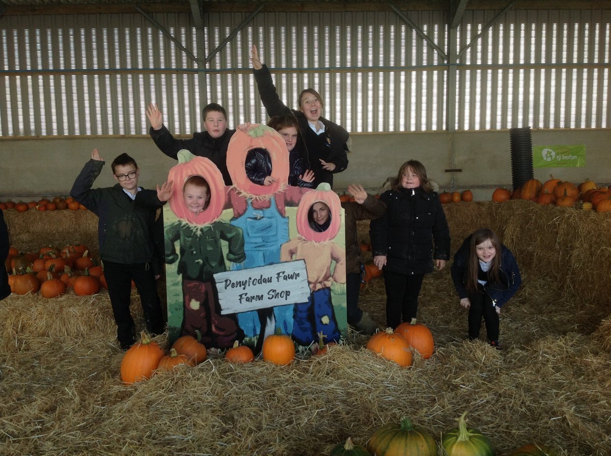 MorristoncompS's tweet photo. Trip to the pumpkin farm #pumpkins#stf#aln https://t.co/BC3xgP33TX
