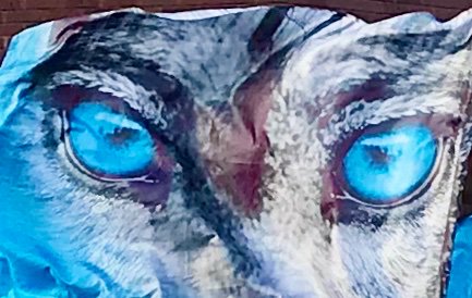 Home football game tonight! Let’s go Papio!! Stay for half time’s amazing performances by the Marching Band, PTown Twirlers,  and Dance Team!! #MakeItHappen <a href="/plMonarchBands/">PL Monarch Bands</a> <a href="/plhs_altos/">PLHS Altos</a> <a href="/PLPulse/">Papillion La Vista High School</a> @PLVfootball <a href="/plhsdance/">PLHS Dance Team</a> <a href="/PLVMedia/">PLV Media</a> @AndrewRikli @PLHSACTIVITIES