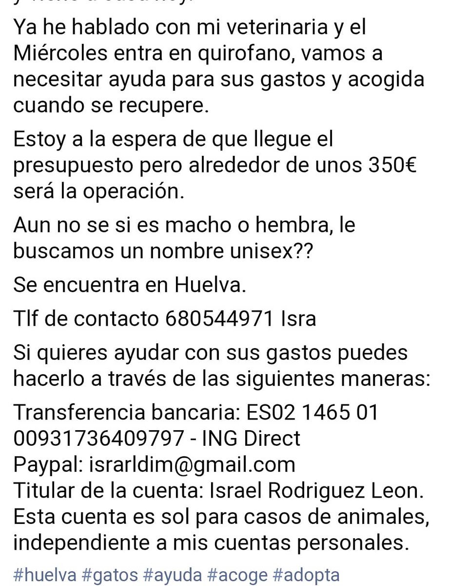 BelkaCruz's tweet photo. #Difundir #gatos #abandono #help #ayuda #colabora #huelva #babycat #cat https://t.co/8SEgtaWWj4
