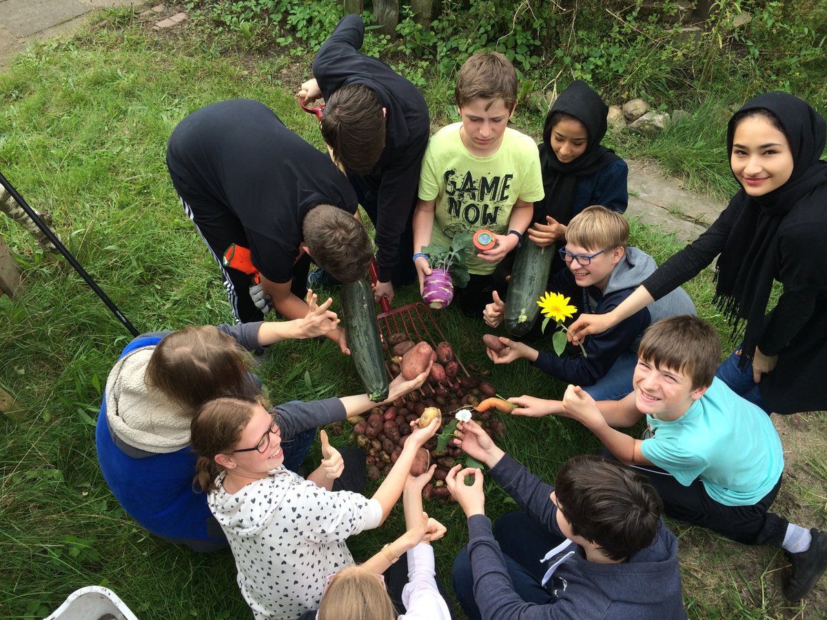 Steinschule NMS tweet media