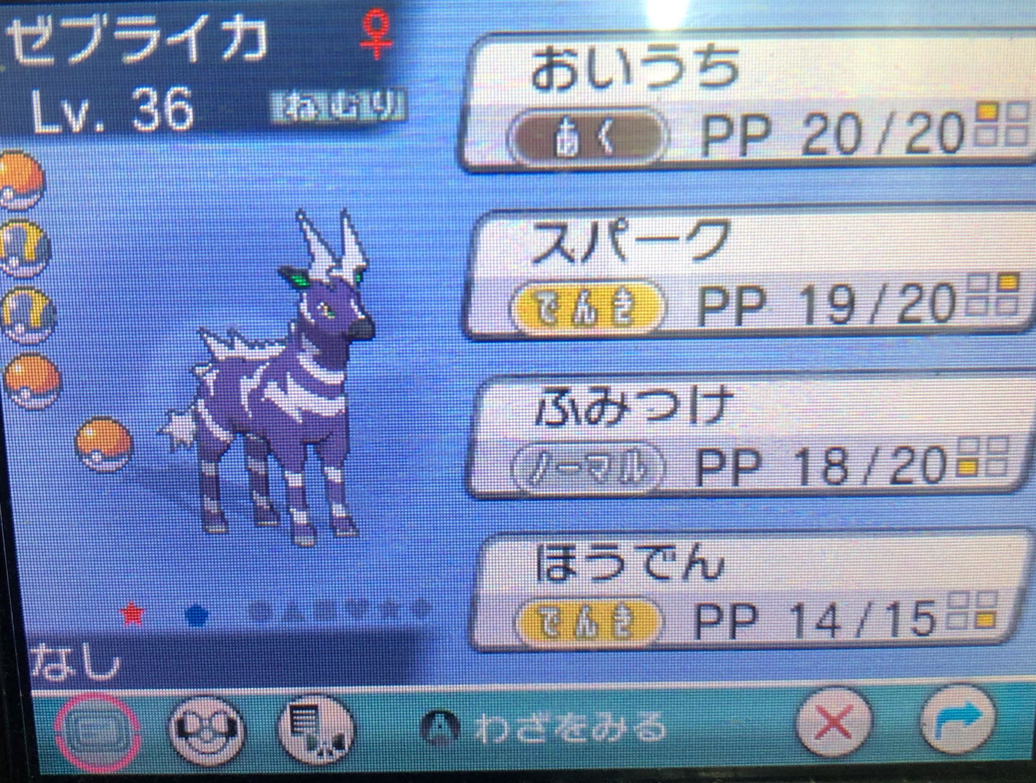 Maji オメガルビーで色違いゼブライカゲット 色違いポケモン Omegaruby Shinypokemon Maji オメガルビーで色違いゼブライカゲット 色違いポケモン Omegaruby Shinypokemon
