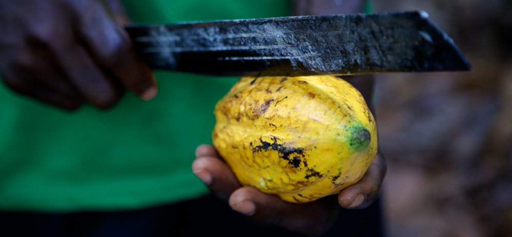 Fairtrade welcomes 'transitional protection measure' from the government in the event of a no-deal situation #Brexit #Fairtrade fairtrade.org.uk/Media-Centre/N…