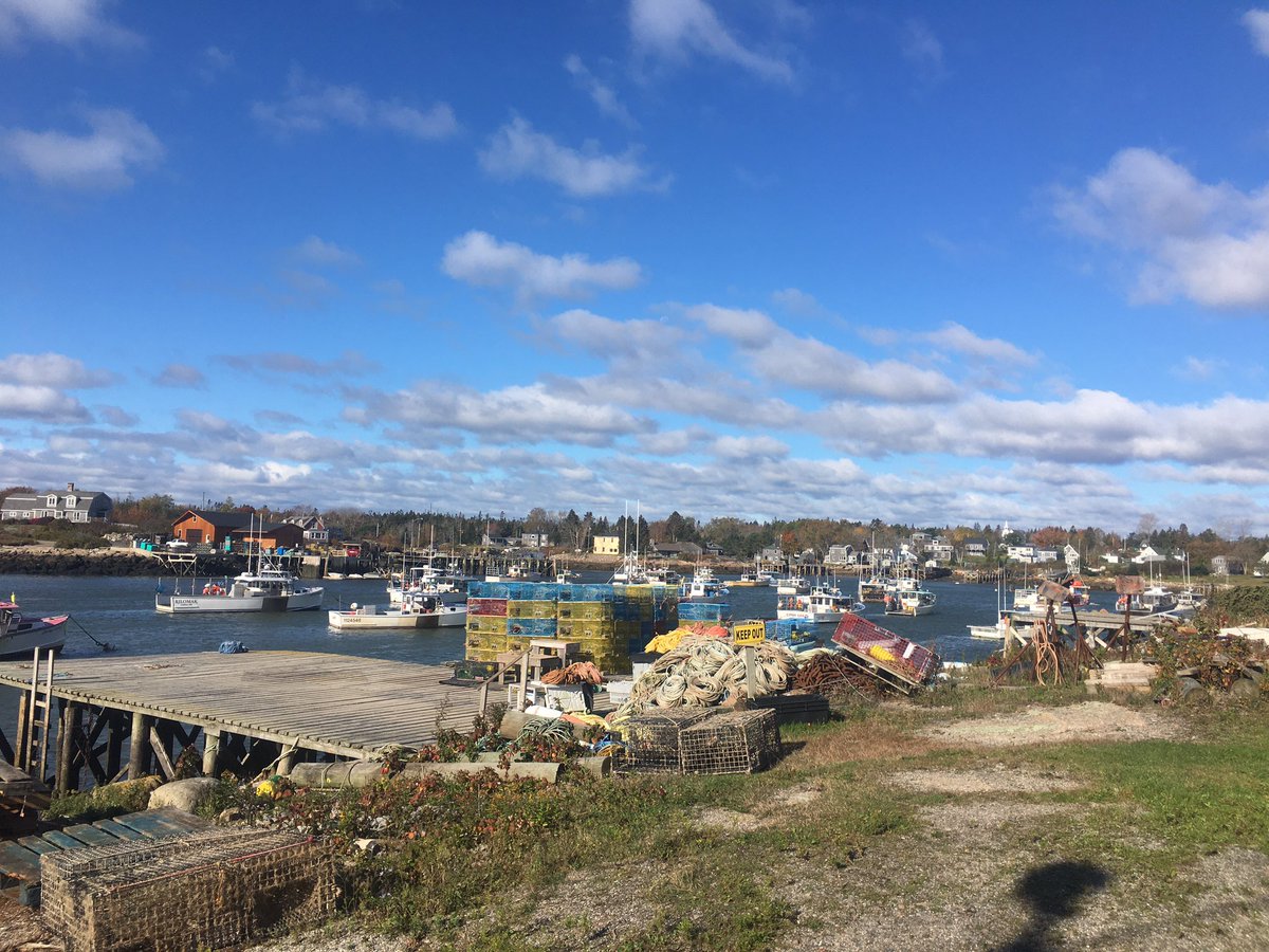 Still windy but we are set up at the Corea Lobster Co-Operative today, until 5pm!