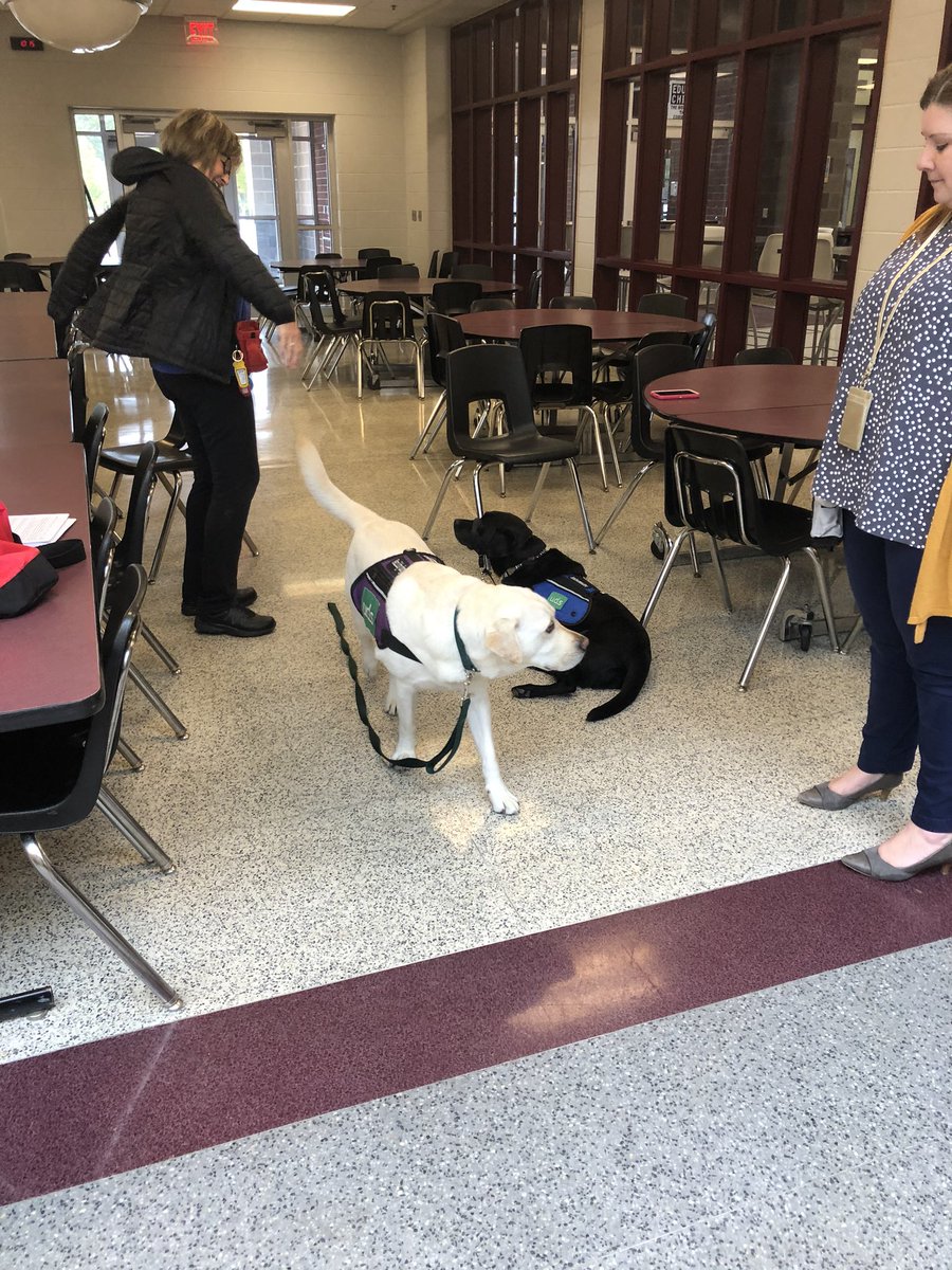 MMS_principals's tweet image. Carson and the MMS handlers pass our annual Re-Certification testing today. Carson gets perfect score! #masdproud #UDS