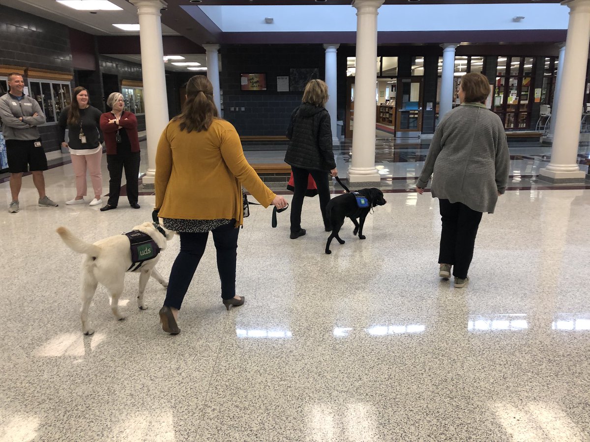 MMS_principals's tweet image. Carson and the MMS handlers pass our annual Re-Certification testing today. Carson gets perfect score! #masdproud #UDS