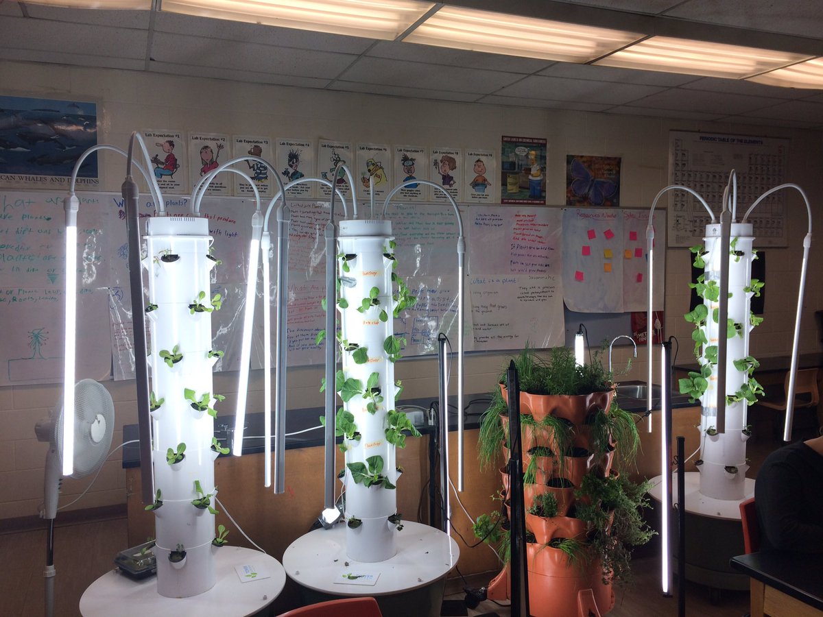 RT <a href="/DerekBrez/">derek brez</a>: Changing up the classroom on a Friday <a href="/SirGuyKnights/">Sir Guy Carleton SS</a> #GrowingThinkers is starting, stay tuned for new ways to #feedpeople <a href="/OCDSB/">OCDSB</a> <a href="/TowerGarden/">Tower Garden</a> <a href="/GardenTowers/">Garden Towers</a> #learning #ExperientialLearning