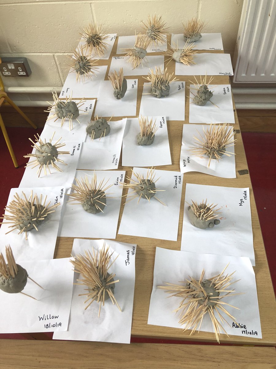 Room 2 - Killoe NS tweet media