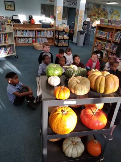 LibraryTx's tweet image. 🍁Fall pumpkin harvest time in the library!!! Pre-K and Kindergarten classes are learning about the life cycle of pumpkins. All pumpkins will be given away next week to some lucky Bryant students 🍁@aisdlibsrv @bryant_ele