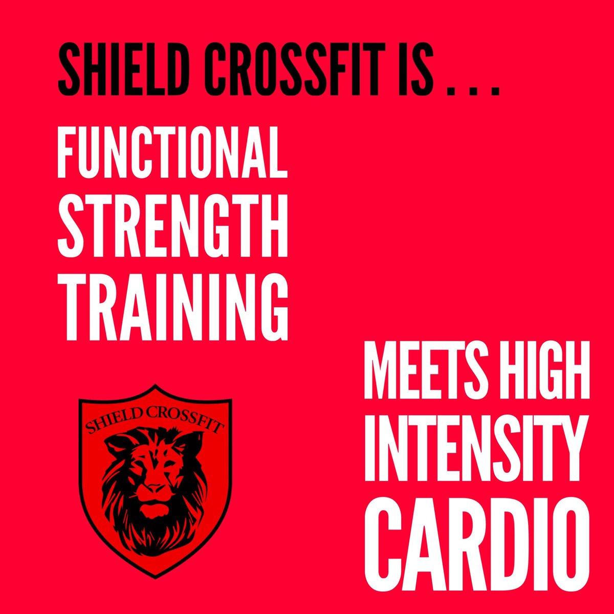 RESULTS. 
🦁
CONTACT US FOR A FREE TRIAL!
🦁
All fitness levels. All ages. Kids room on site. 
🦁
(626)347-3746 
1028 E Cypress St Covina, CA 91724 
🦁
#Shieldcrossfit #strengthtrain #lift #Workout  #Weightlifting #endurance #MenWhoLift #WomenWhoLift #Covina #WestCovina #Azusa