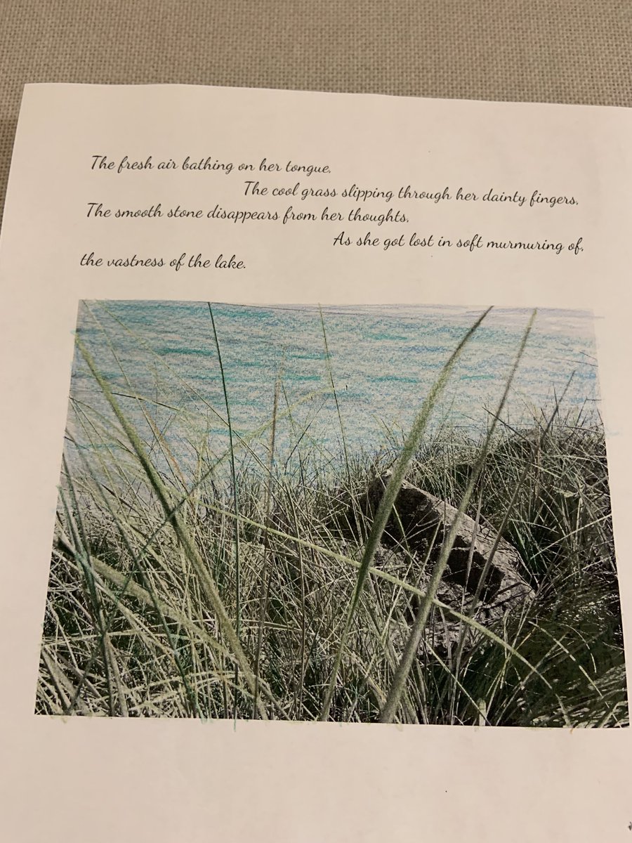 These @PCSD_PCMS students poetry shows the connection to place and #lakemichigan from our field experience to @WDNR point beach state forest. Thanks Mrs. Krumrei for facilitating this kickoff to poetry unit #raiderstrong @wigreenschools @WiscWaterLib #placebasedlearning