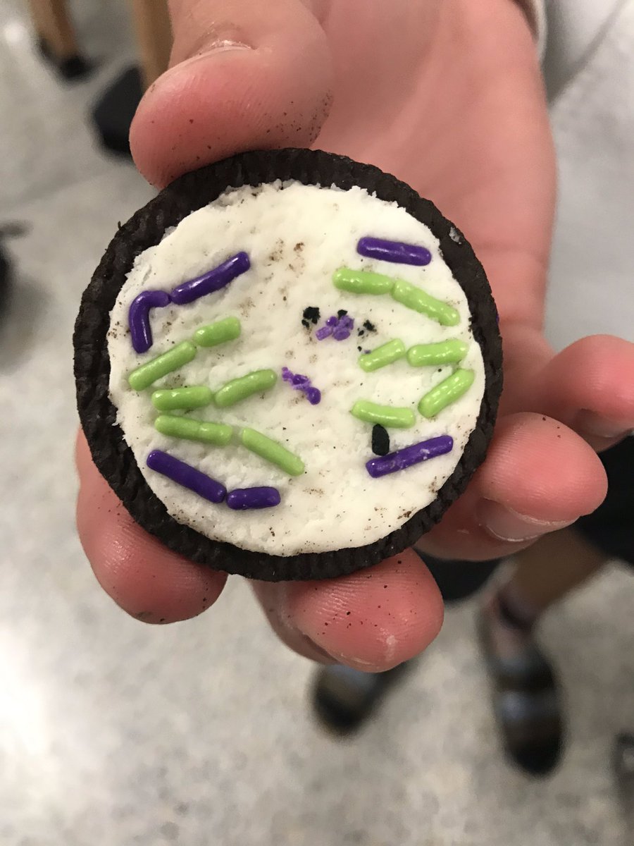 MsDeBottisbio's tweet image. I think my students were excited about today’s lesson! Exploring Mitosis in multiple ways! Oreo Mitosis was a good bonus activity! #CellCycle #Mitosis #bionerds @MsDeBottisbio @KleinOak #ALLIN