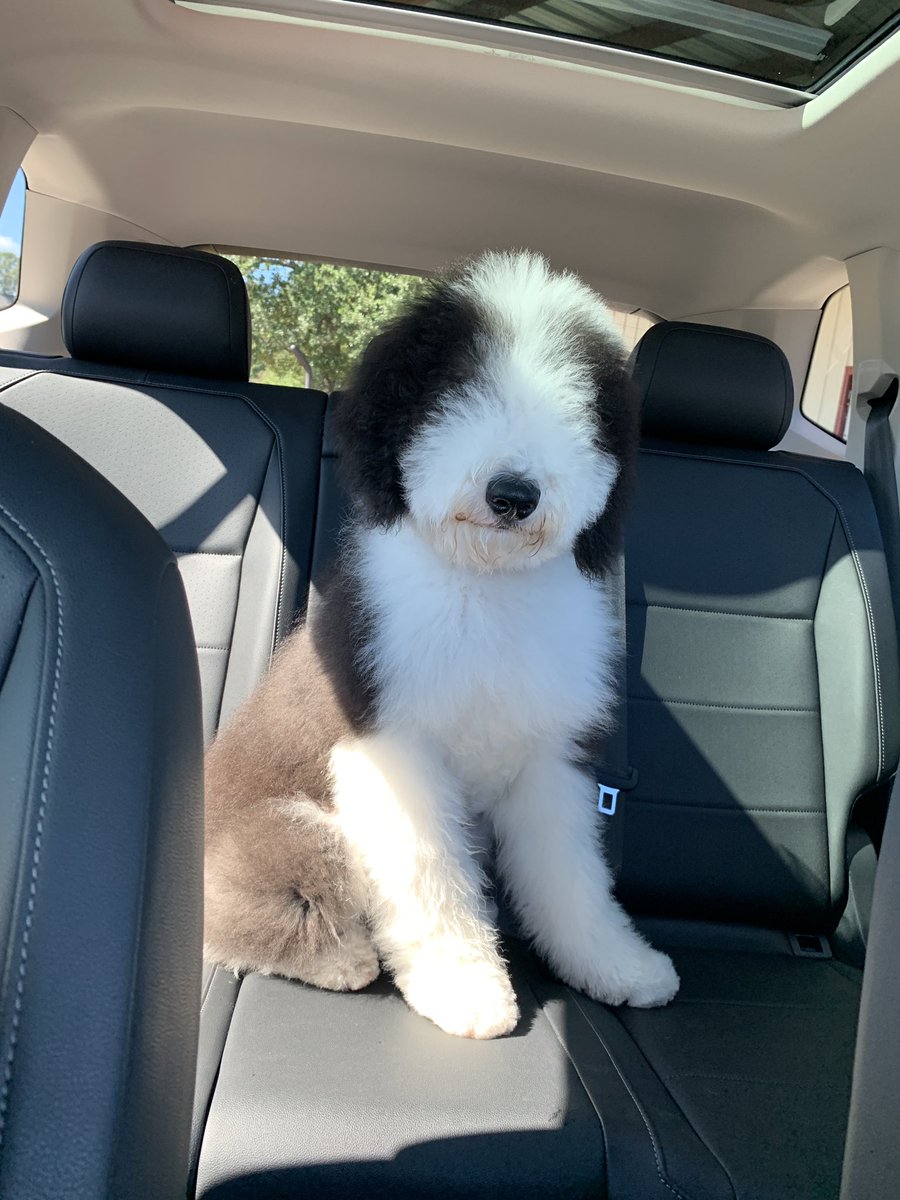 No one:

Me: WHERE ARE WINSTON’S EYES?!