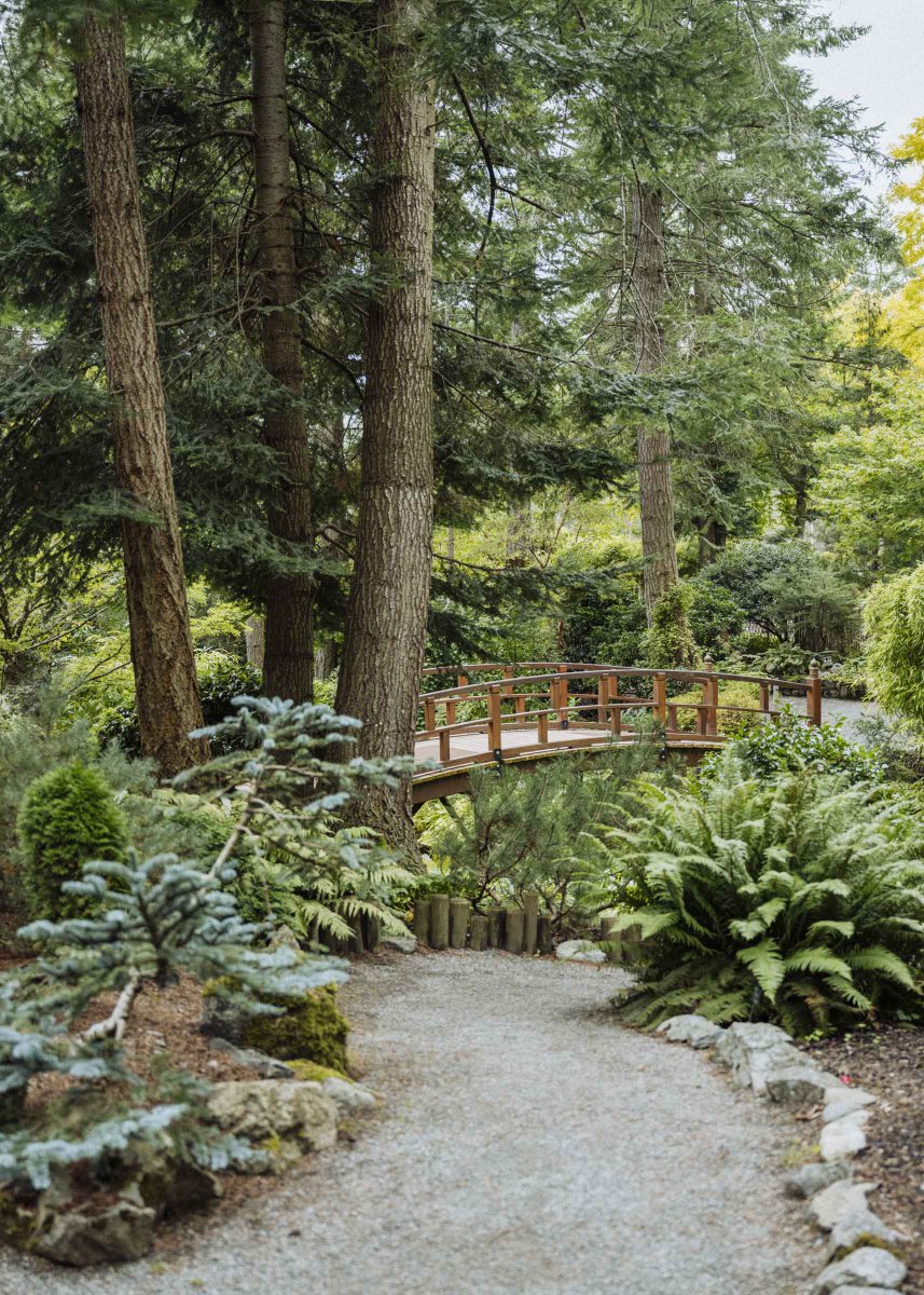 fieldforestco's tweet photo. Strolling the winter gardens at the Horticulture Centre of the Pacific 🌿 #explorevictoria https://t.co/kTIjZV3Wpo