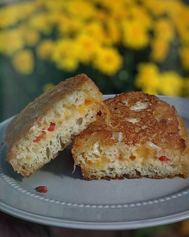 ectoplasmeg's tweet image. grilled cheese on homemade bread with homegrown pickled jalepenos. (and yes i took this on my front stoop like a huge nerd 🍃)
#homemadebread #peasantbread #pickledjalapenos #growyourownfood #growsomethinglovely #urbandgardening #grilledcheese ift.tt/33HZlsb