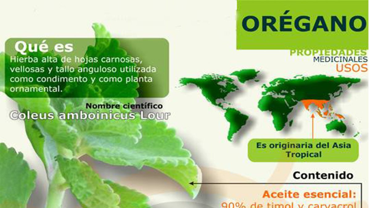 nombre tónico de vitaminas nombre tónico de vitaminas