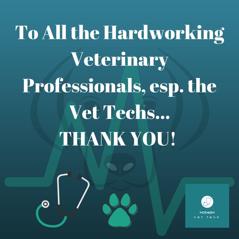 Tomorrow is the final day of #nationalvettechweek and I have a special treat.  Check out the Blog and YouTube for a special message! #thankyou #youarearockstar #veterinaryprofessionals