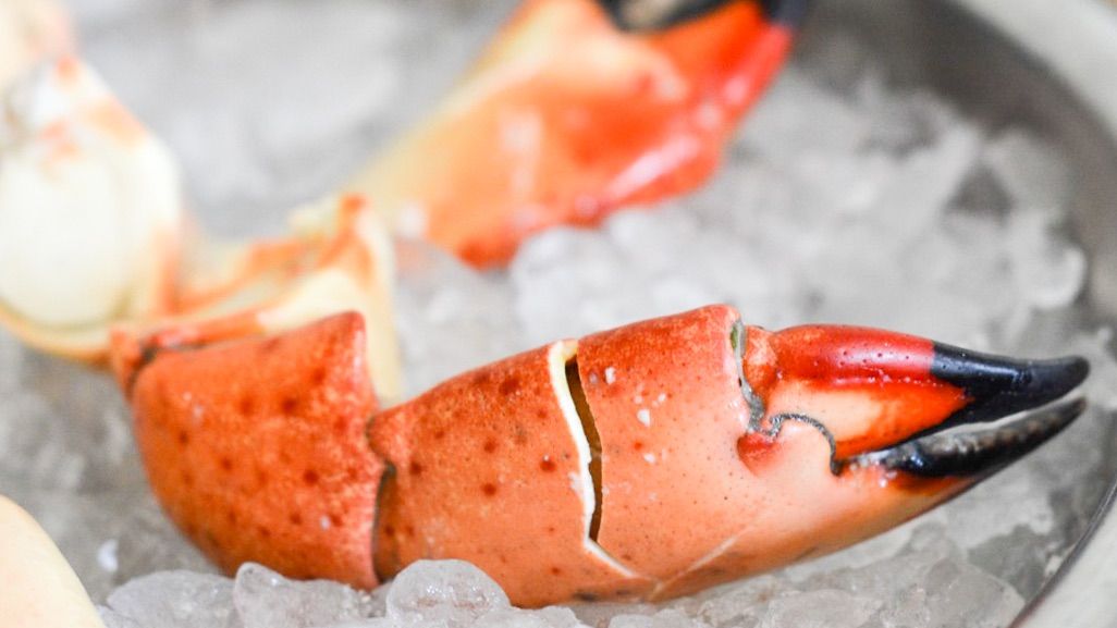 Great news from the GT kitchens! Stone crab claws are on the menu at both #GTFishandOyster and #GTPrimeSteakhouse starting TODAY 🦀 #BokaRestaurantGroup