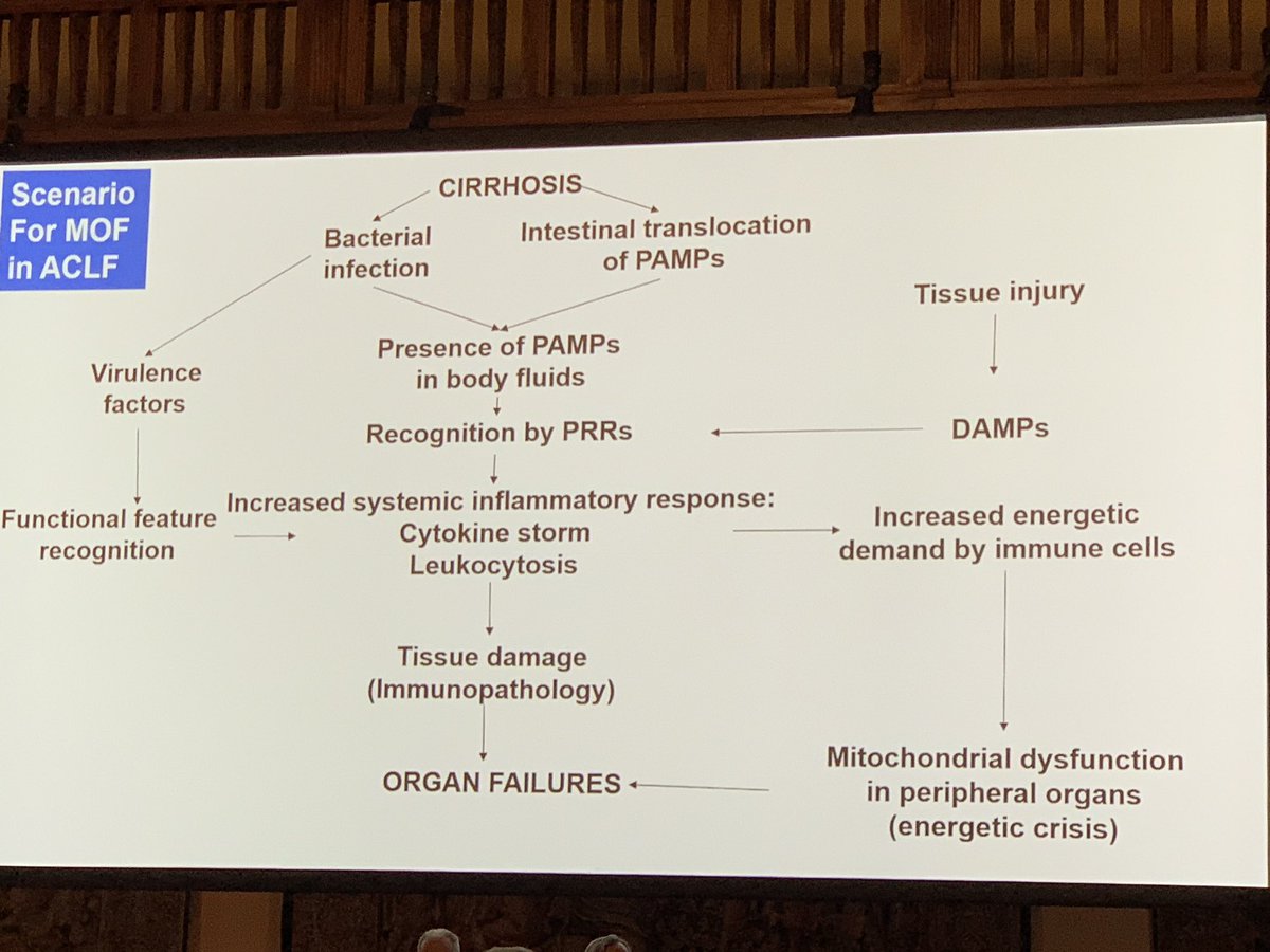 Emmanuel Weiss (@dr_manuweiss) on Twitter photo Pathophysiology of Multiple Organ Failure in Acute On Chronic Liver Failure by Richard Moreau #1EFCLIFVeniceMeeting <a href="/ef_clif/">Eur. Fdn. for the Study of Chronic Liver Failure</a> Pathophysiology of Multiple Organ Failure in Acute On Chronic Liver Failure by Richard Moreau #1EFCLIFVeniceMeeting <a href="/ef_clif/">Eur. Fdn. for the Study of Chronic Liver Failure</a>