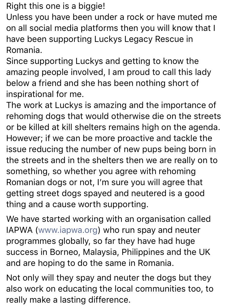 Apes_82's tweet image. gofundme.com/f/1s9dib16s0?s…