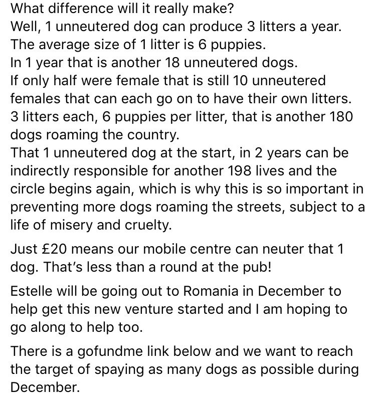 Apes_82's tweet image. gofundme.com/f/1s9dib16s0?s…