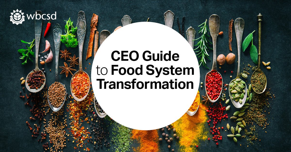 FOLUCoalition's tweet photo. Check @WBCSD’s latest #CEO_Guide to #Food System Transformation – outlining #business leadership action areas to address the climate, nature and food emergency:
#HealthyPeopleHealthyPlanet
https://t.co/wGCxBEEKl0 https://t.co/sXcxScr8pv