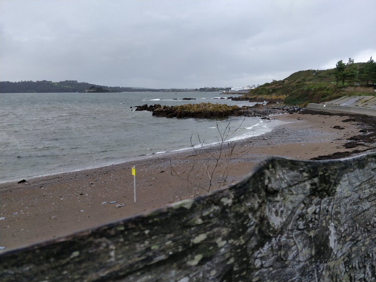 Wet and windy day at Mount Batten but worth it for the cool sea critters we found in the rock pools! 😎🦀🐟 Even found a perfect limpet home scar! #PlyMBIO #marinebiology #limpets