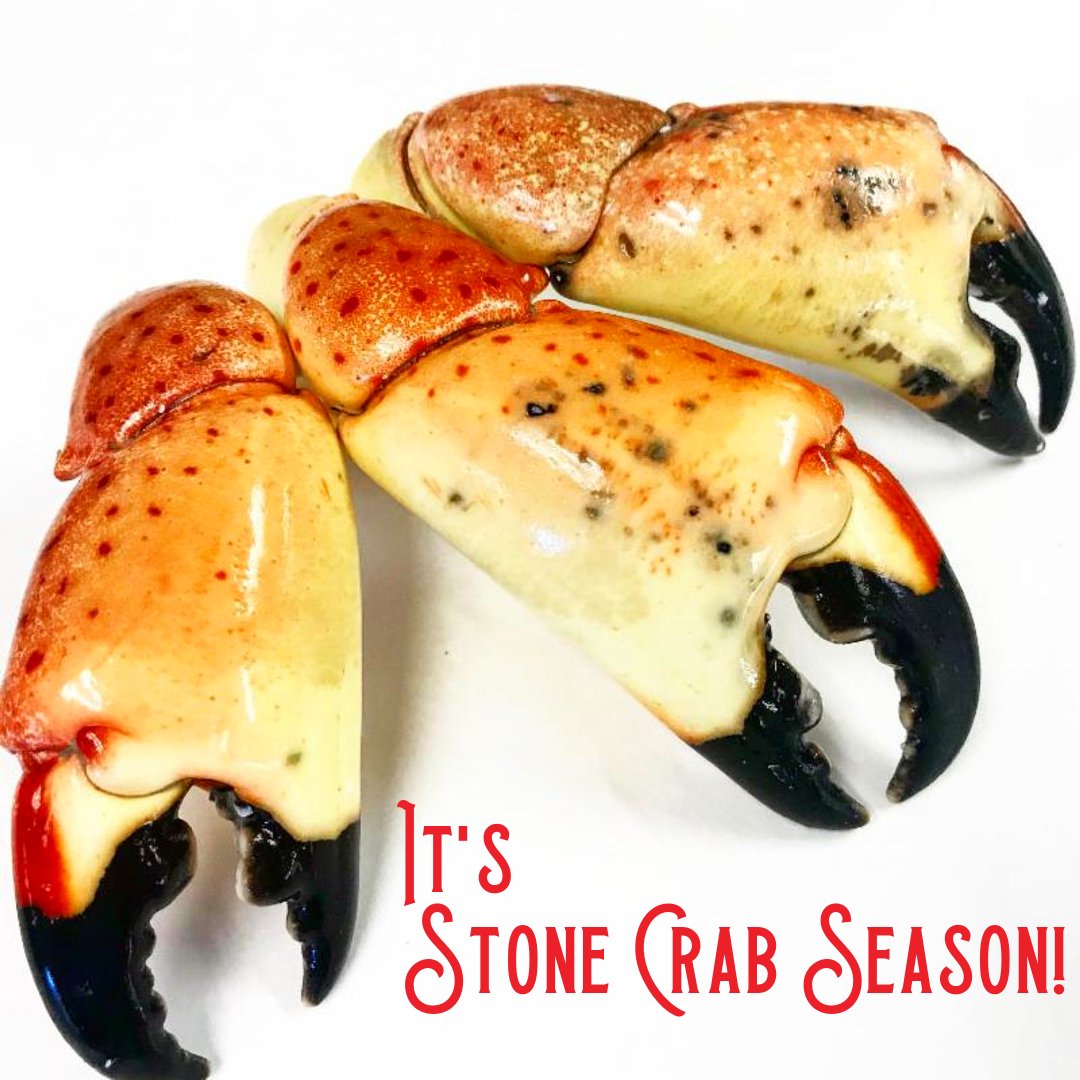 EuclidFishCo's tweet image. 𝑺𝒕𝒐𝒏𝒆 𝑪𝒓𝒂𝒃 𝑺𝒆𝒂𝒔𝒐𝒏 has begun, snatch up these tasty claws while you can!
• 
• 
• 
#euclidfish #fishmonger #stonecrab #stonecrabclaws