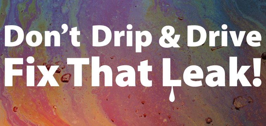 EPARegion10's tweet photo. Be an #OrcaHero at one of the restoration &amp; education events in WA on Oct. 19th! Don’t Drip &amp; Drive offers free auto leaks inspection workshops on Oct. 19 &amp; other days to help you learn about your car &amp; make safer choices for #PugetSound https://t.co/p0lenzdcyo https://t.co/R0V3Og3xAQ