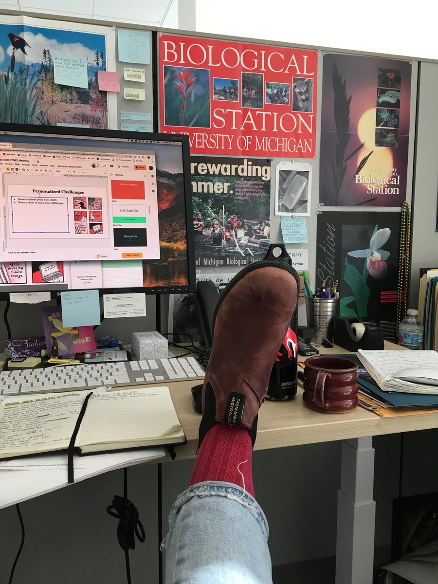 UMBS's tweet photo. Happy Red Sock Friday from the Ann Arbor office. #redsockfriday #fornoparticularreason https://t.co/KMLN2d7w6J