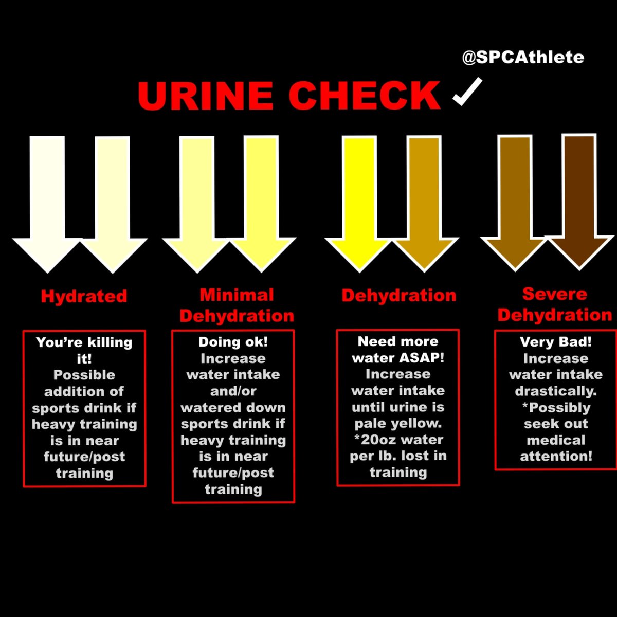 SPCAthlete's tweet photo. Hey #SPCAthletes are you staying hydrated enough to perform at a high level? Check out this urine chart and make sure you're in the clear!  @gpsmaine #SPCFam #SPCKnowledge #JoinTheFam #HydrateToPerform https://t.co/iZjRDek2VG